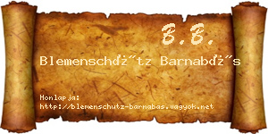 Blemenschütz Barnabás névjegykártya